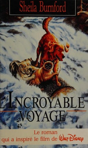 L'incroyable voyage