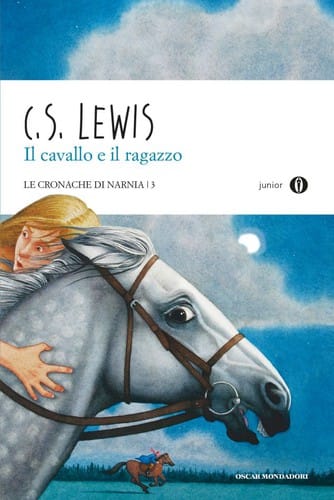 Il cavallo e il ragazzo
