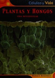 Plantas y hongos