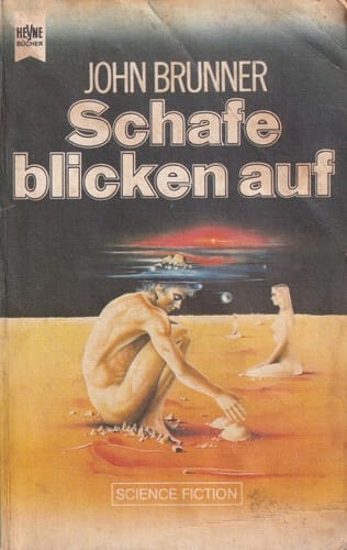 Schafe blicken auf