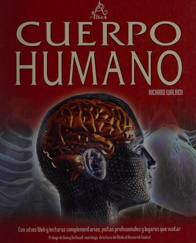 Cuerpo humano