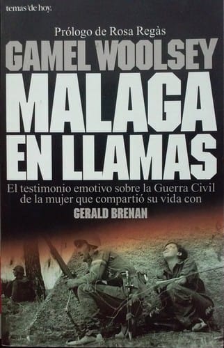 Málaga en llamas