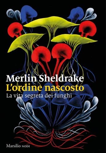 L'ordine nascosto