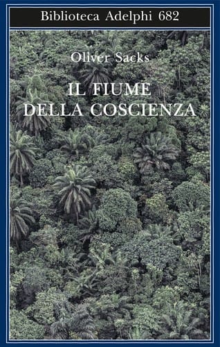 Il fiume della coscienza