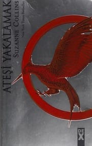 Ateşi yakalamak