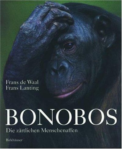 Bonobos