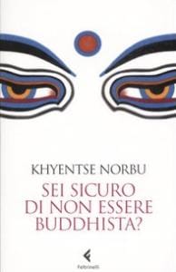 Sei sicuro di non essere buddhista?