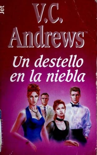 Un destello en la niebla