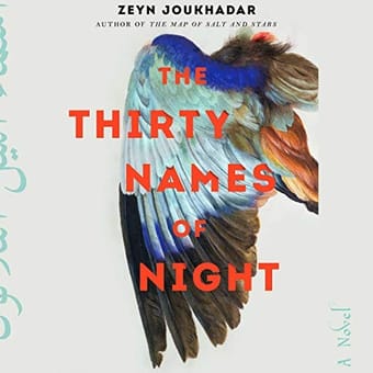 The Thirty Names of Night