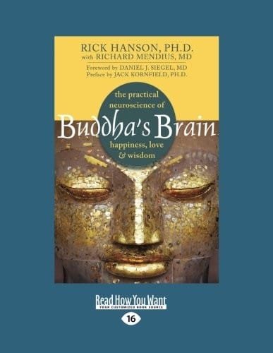 Buddha's brain