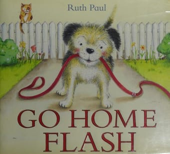 Go home Flash