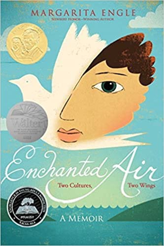 Enchanted air