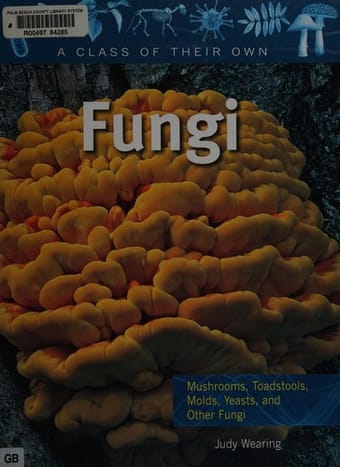 Fungi