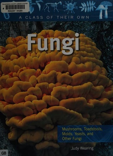 Fungi