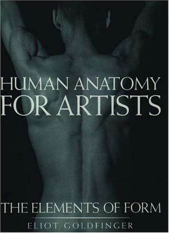 Human anatomy for artists