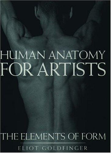 Human anatomy for artists