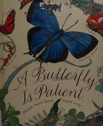 A Butterfly Is Patient