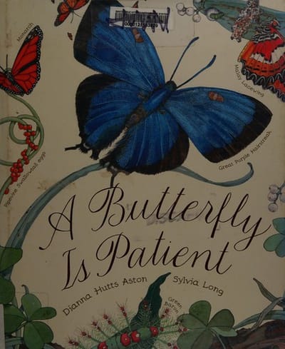 A Butterfly Is Patient