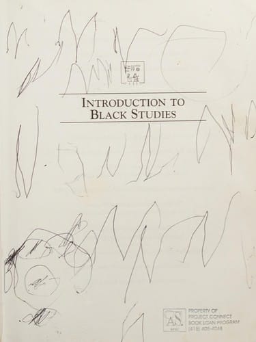 Introduction to Black studies