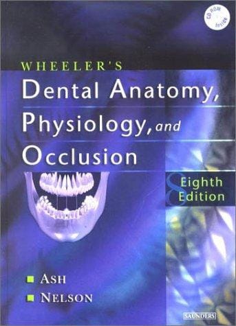 Dental anatomy, physiology, and occlusion