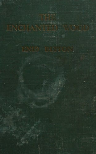 The Enchanted Wood