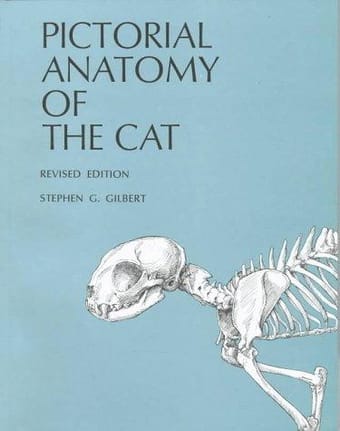 Pictorial anatomy of the cat