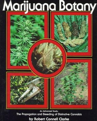 Marijuana botany