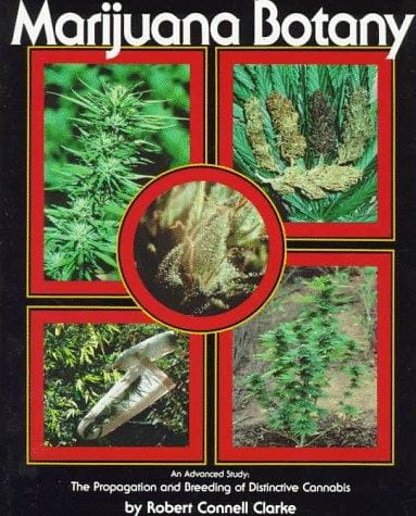 Marijuana botany