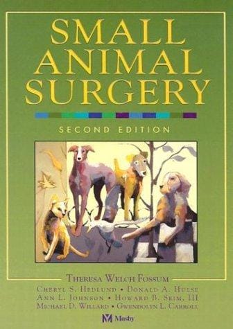 Small animal surgery