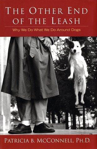 The other end of the leash