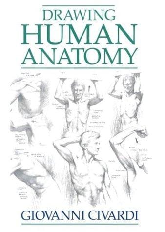 Drawing human anatomy