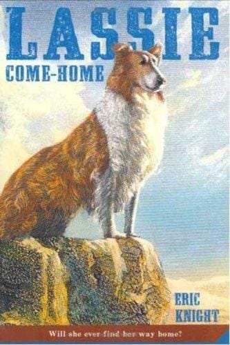 Lassie, chien fidèle