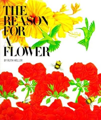 The reason for a flower