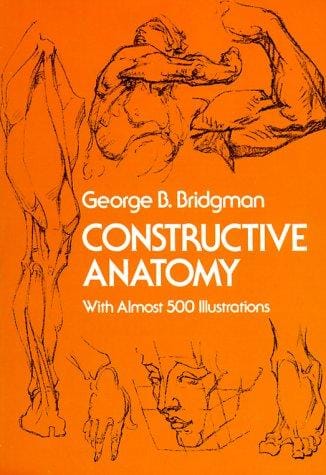 Constructive anatomy