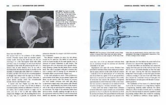 Animal physiology
