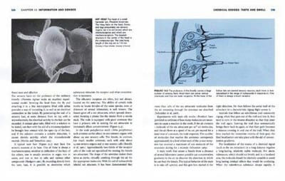 Animal physiology