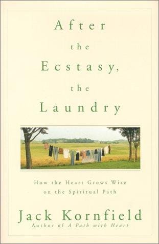 After the Ecstasy, the Laundry