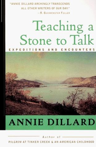 Teaching a Stone to Talk