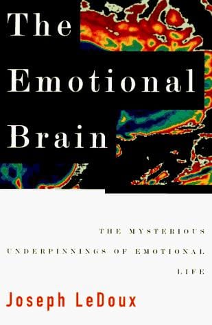 The emotional brain