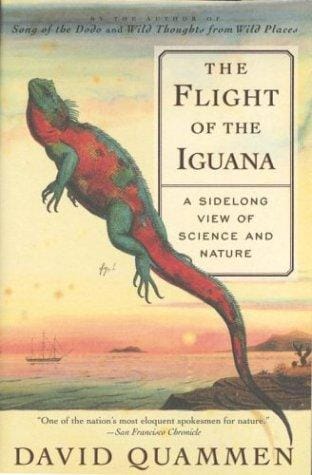 The flight of the iguana