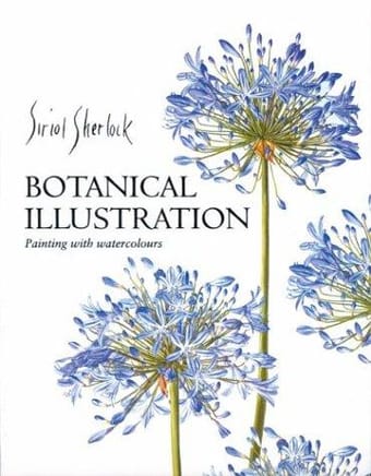 Botanical Illustration
