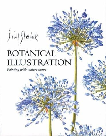 Botanical Illustration