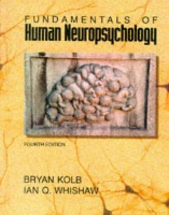 Fundamentals of human neuropsychology