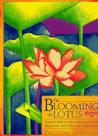 The blooming of a lotus