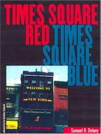 Times Square Red, Times Square Blue (Sexual Cultures)