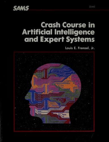 Crash course in artificial intelligence and expert systems