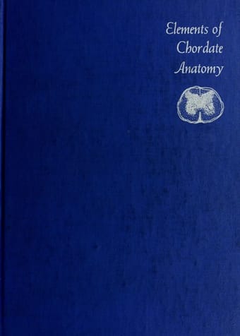 Elements of chordate anatomy
