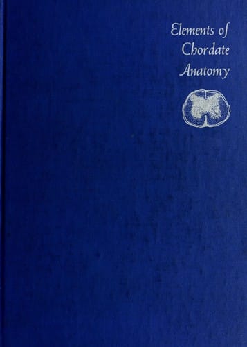 Elements of chordate anatomy