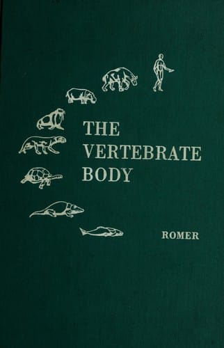 The vertebrate body