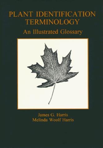 Plant identification terminology